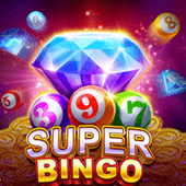 Super Bingo on Paldopanalo